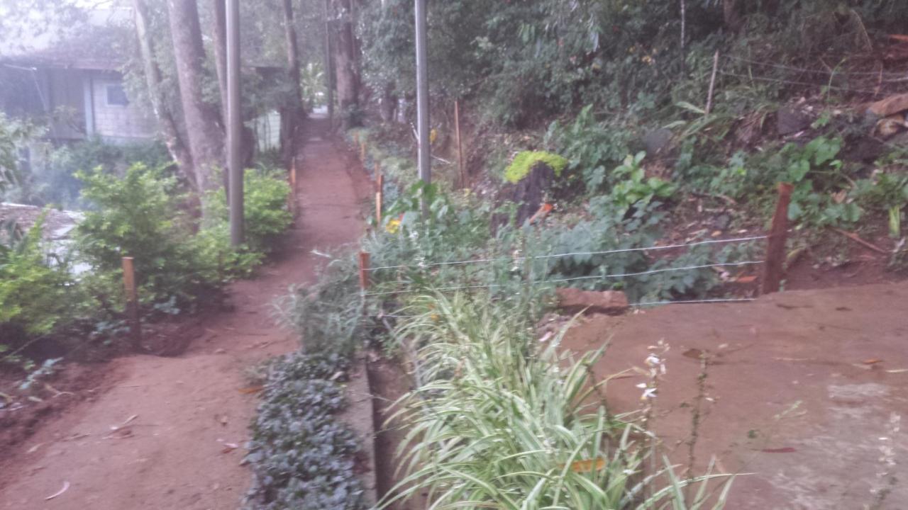 شقة Woods Hut نوفارا إيلِيا المظهر الخارجي الصورة